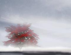 The Depth of Stillness