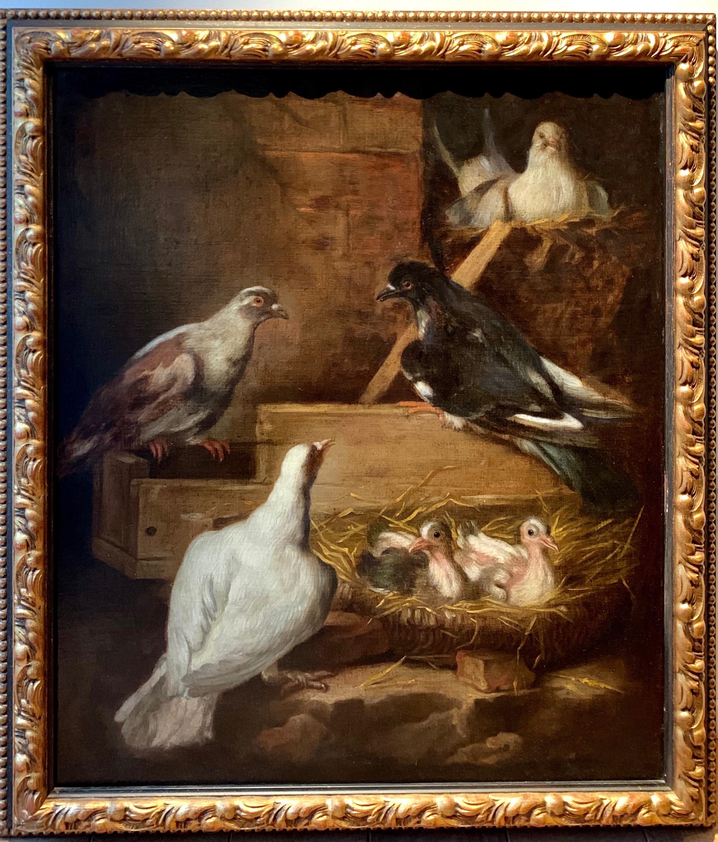 Giacomo da Castello Animal Painting - A happy nest - 17th century Italian painting bird animal - The nesting doves