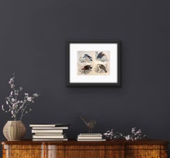 Birds of Prey Pair of Antique Prints - Hawk Falcon Eagle South American Harrier