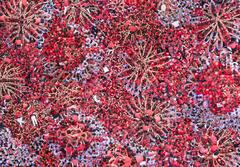 Castells