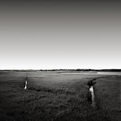 Salt Marsh, Oak Bluffs, Massachusetts, 1995