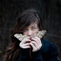 White Witch Moth 4