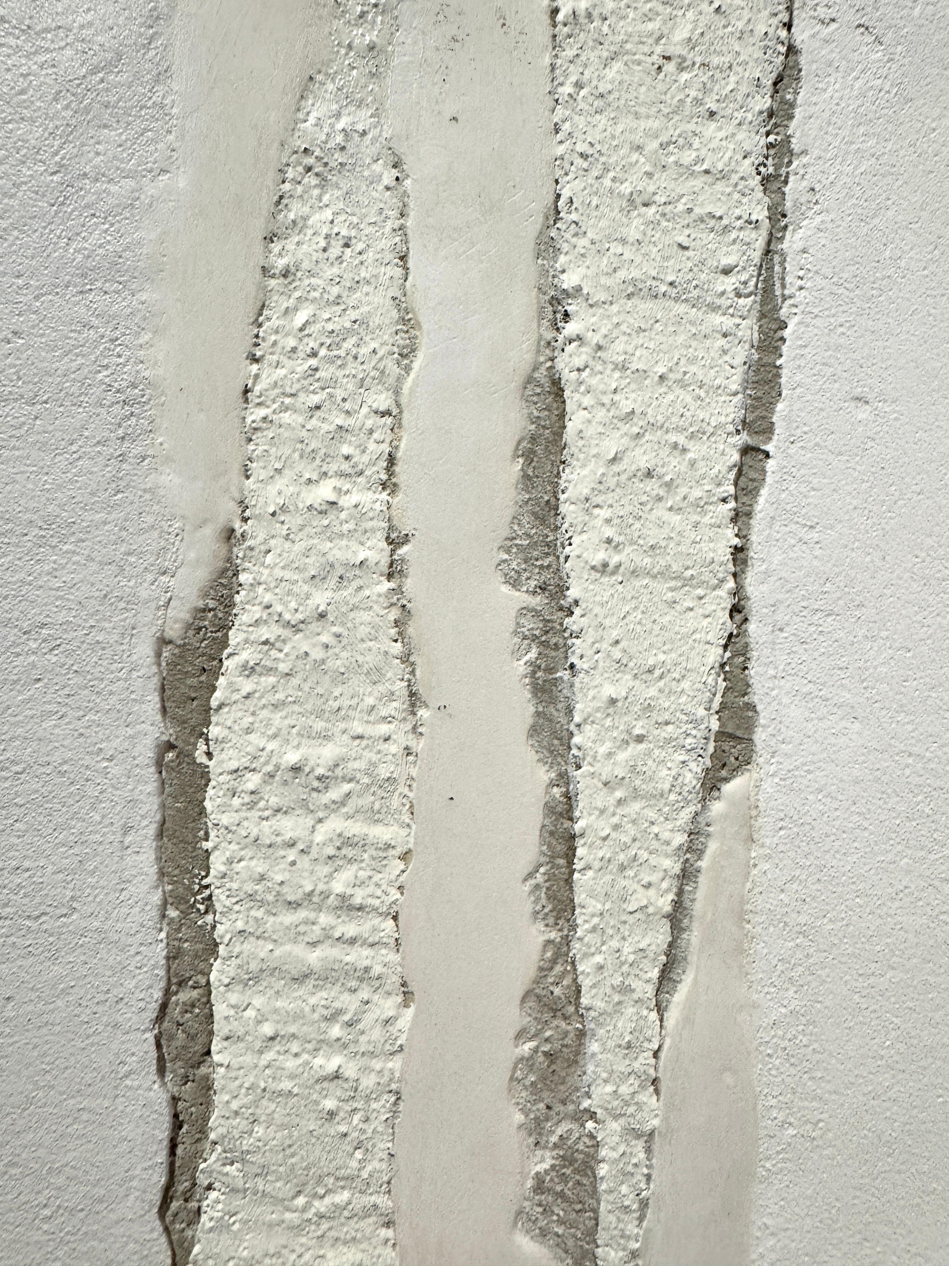 Né en 1944 dans le canton de Fribourg, Gilbert Pauli vit actuellement à Genève, où il se consacre à la peinture et à la sculpture, une passion qu'il a développée dès son enfance. Son thème de prédilection est le dialogue entre l'être humain et son