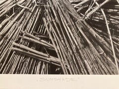 « Sunshade » de Miodrag Mladjovic ; impression numérique encadrée, 27" x 39", 2007