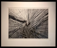 «Sunshade», de Miodrag Mladjovic; impresión digital enmarcada de 27" x 39", 2007