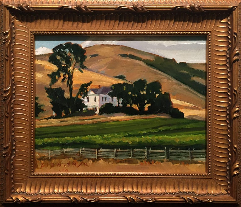 Dennis Ziemienski Victorian Farmhouse, West Marin, CA For Sale at 1stDibs