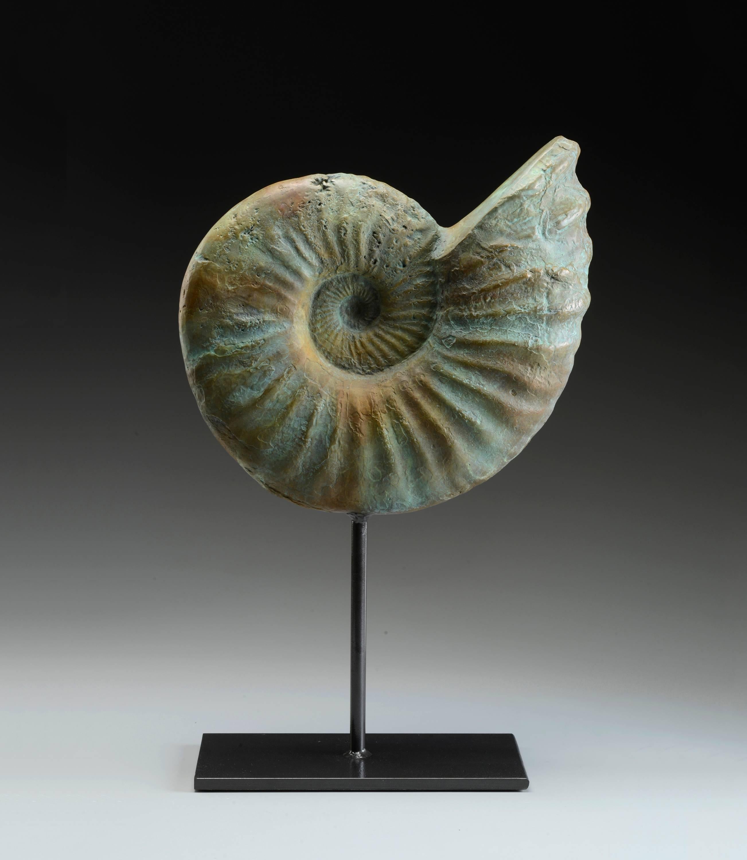 Giuseppe Palumbo Figurative Sculpture - Nautilus