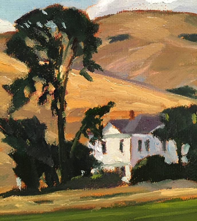Dennis Ziemienski Victorian Farmhouse, West Marin, CA For Sale at 1stDibs