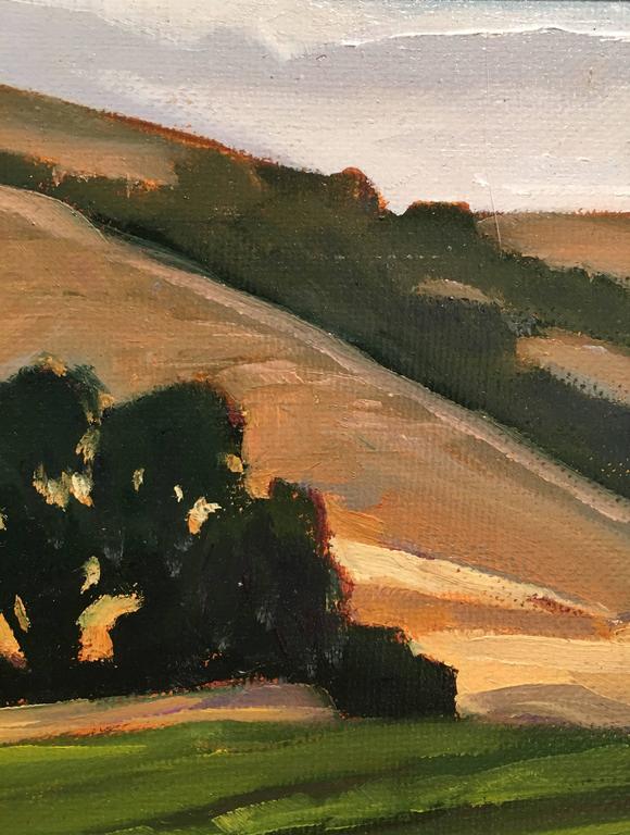 Dennis Ziemienski Victorian Farmhouse, West Marin, CA For Sale at 1stDibs