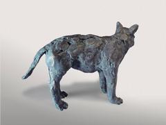 Wolf Cub