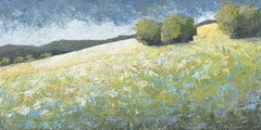 Daisies