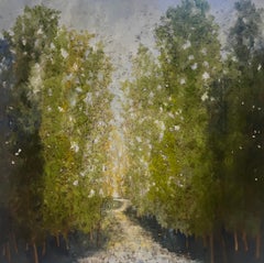 Dreamer 5147