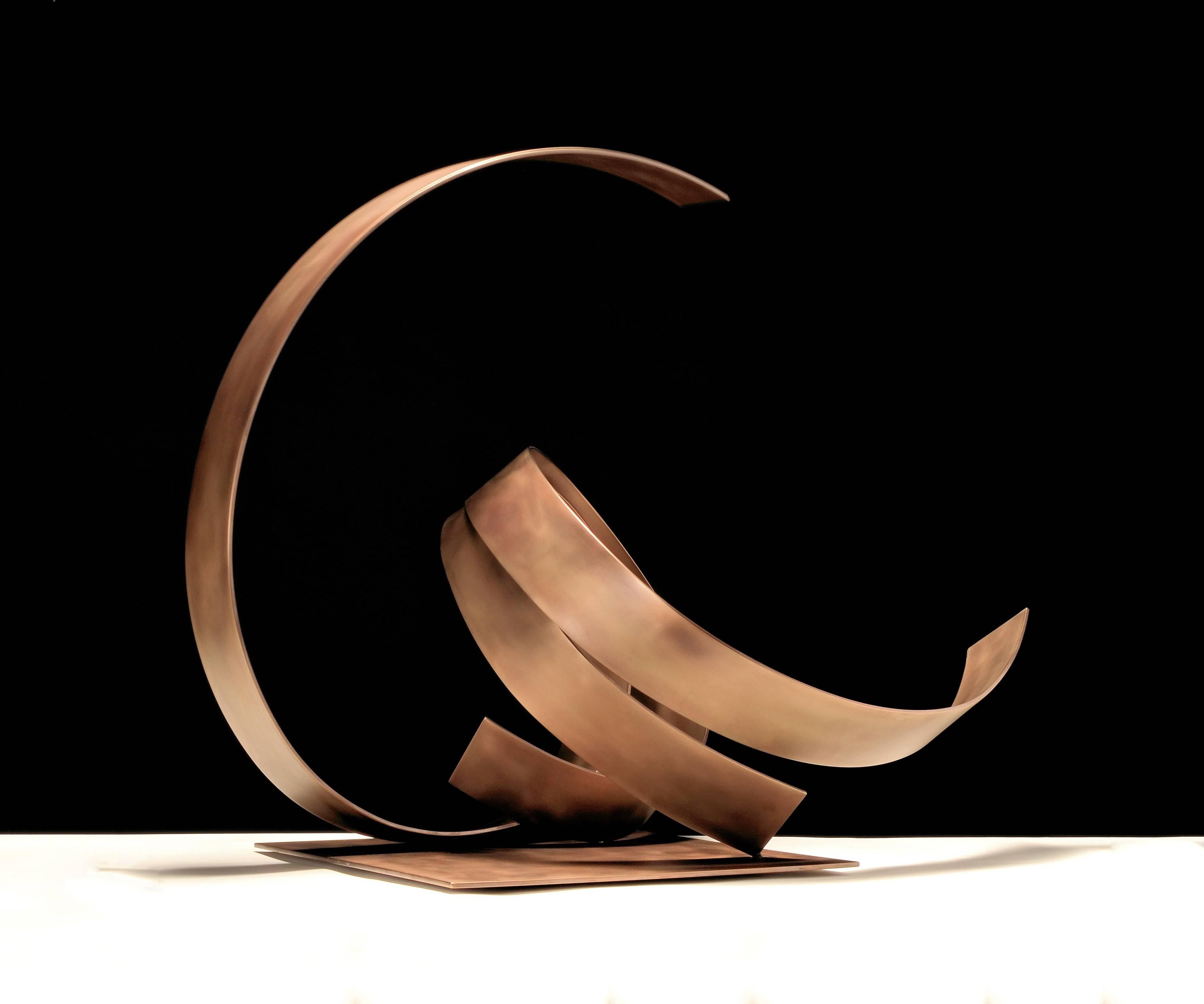 Knot #79 - Sculpture by Damon Hyldreth