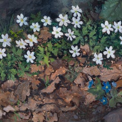 Anemoni blu e bianchi, dipinto a olio raffigurante un bosco svedese