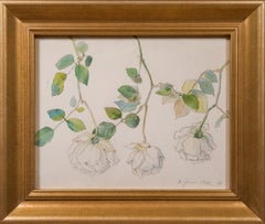 Still Life Watercolor With White Roses by Carl Wilhelmson from 1903