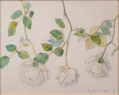 Still Life Watercolor With White Roses by Carl Wilhelmson from 1903