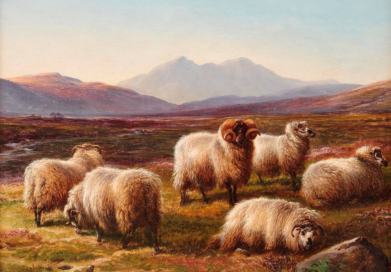Charles Jones (b.1836) Animal Painting - “Sheep in a Highland Valley”
