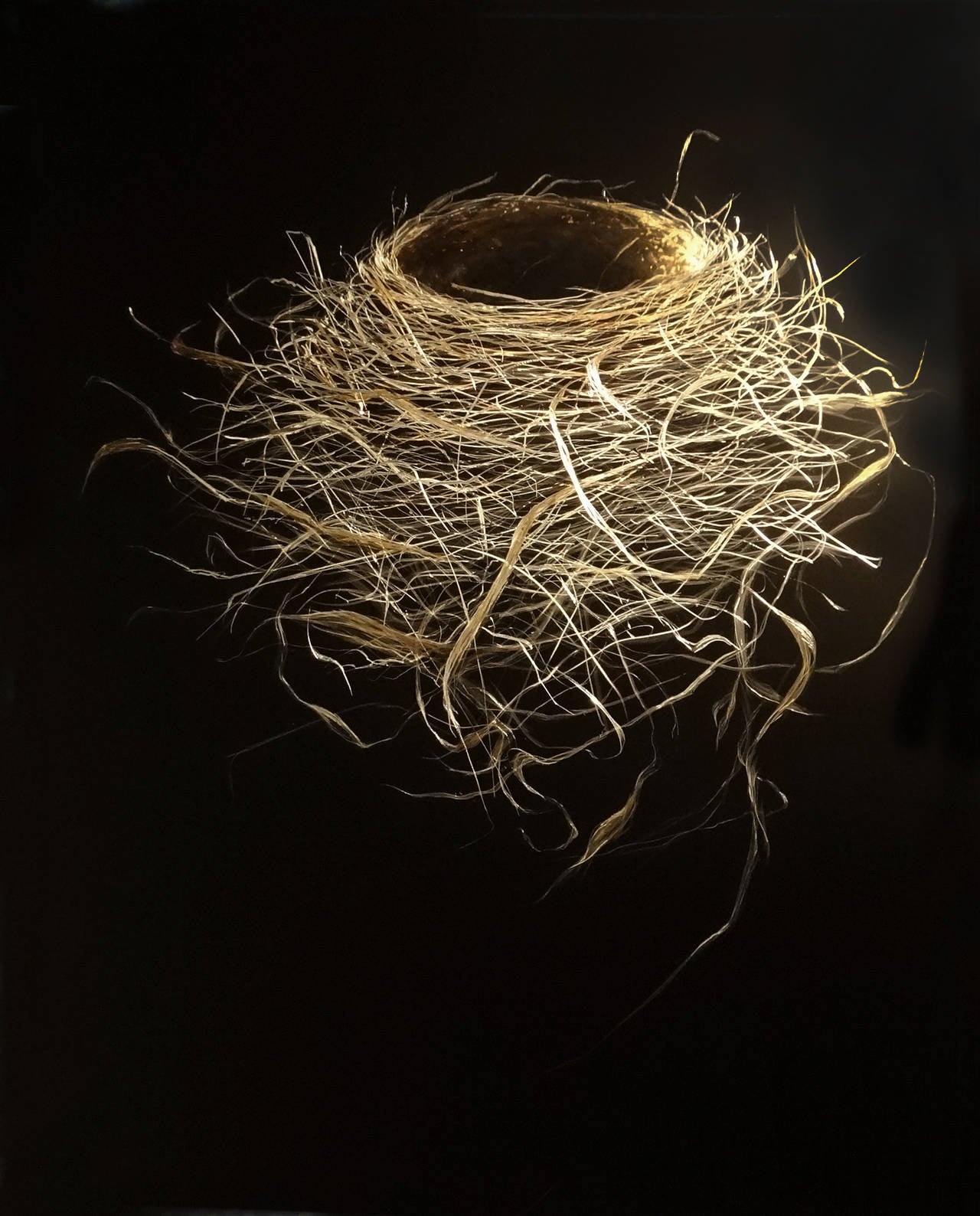 Mitchell Lonas Still-Life Painting - Spring Robin Nest with Johnson Grass