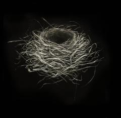 Robin Nest I