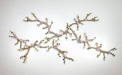 Branching Antlers with Flowers