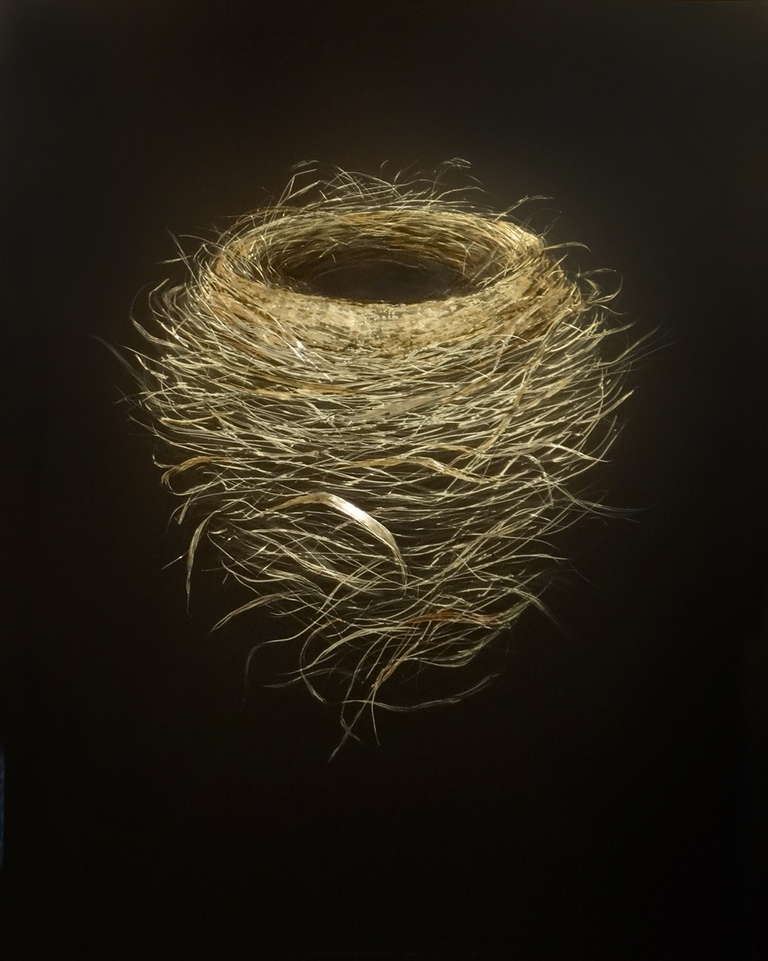 Mitchell Lonas Figurative Painting - Early Spring Robin Nest 2014