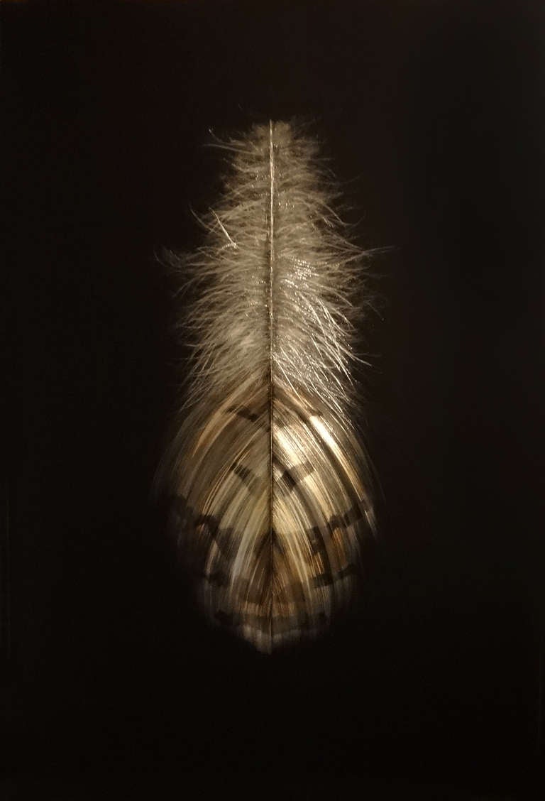 Mitchell Lonas Figurative Painting - Grouse Feather II