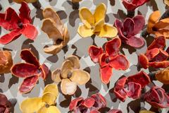 Floral Wall Installation