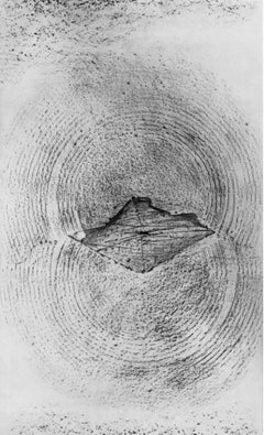 Max Ernst, The Earthquake, from Natural History, 1972 (after)