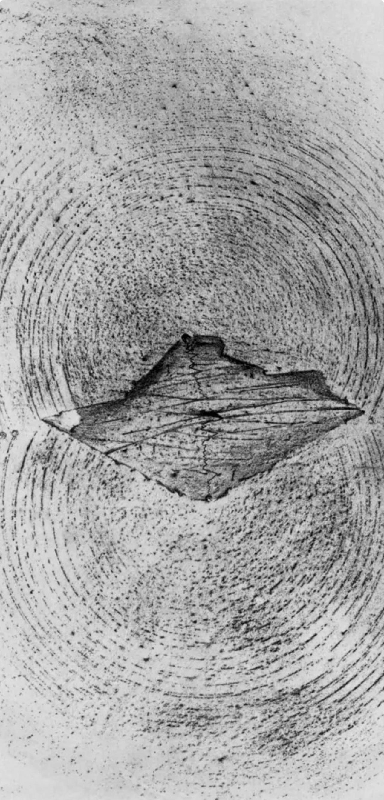 Max Ernst, The Earthquake, from Natural History, 1972 (after) For Sale 1