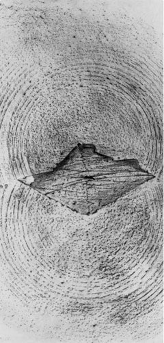 Ernst, Komposition (Spies/Leppien 222), Histoire Naturelle (nach)