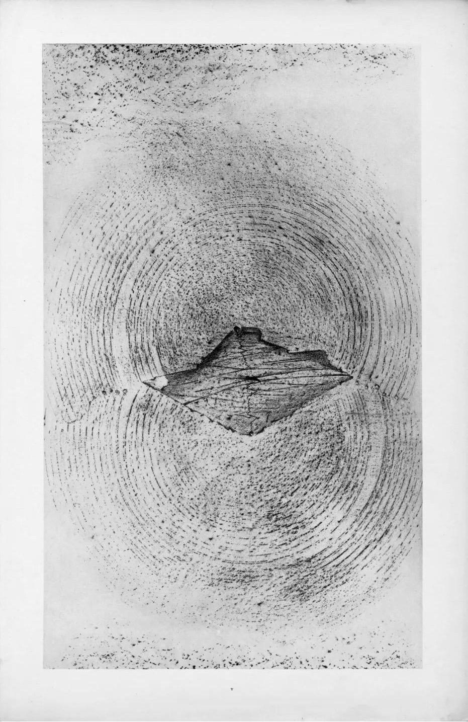 Max Ernst, The Earthquake, from Natural History, 1972 (after) For Sale 2