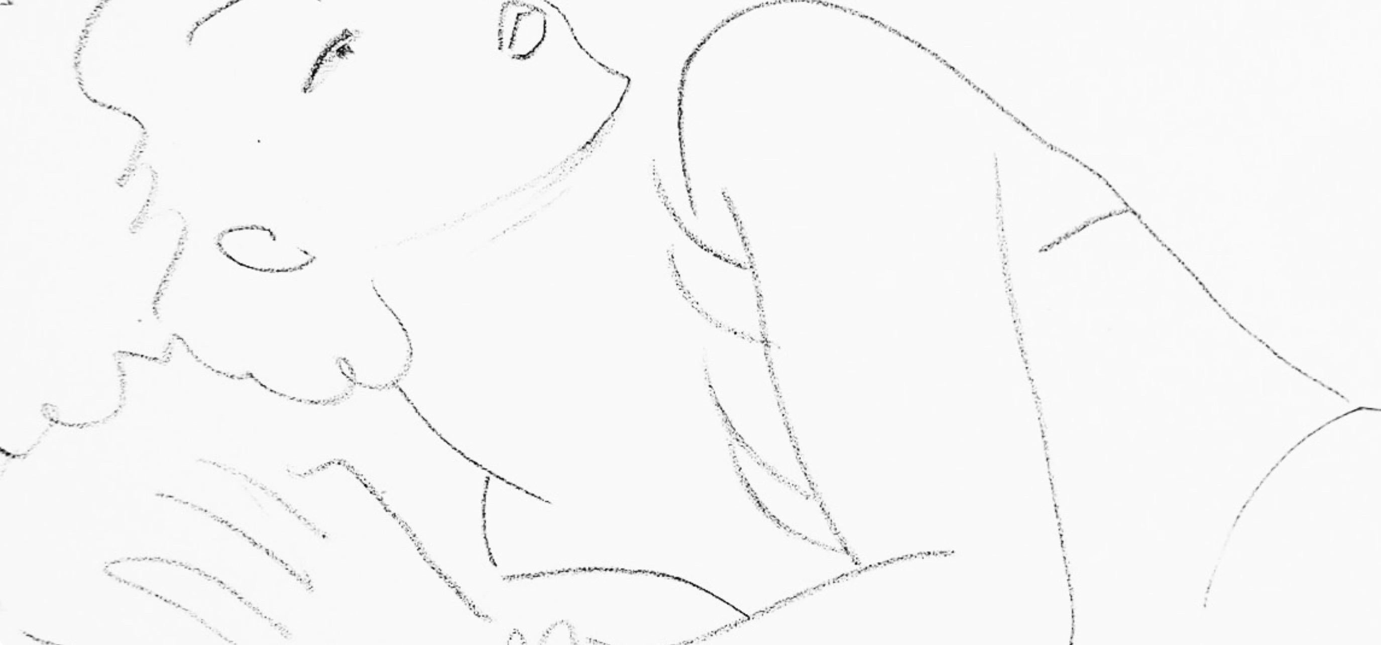 Henri Matisse, Series F, Var. 6, Drawings, Themes and Variations, 1943 (after) For Sale 2