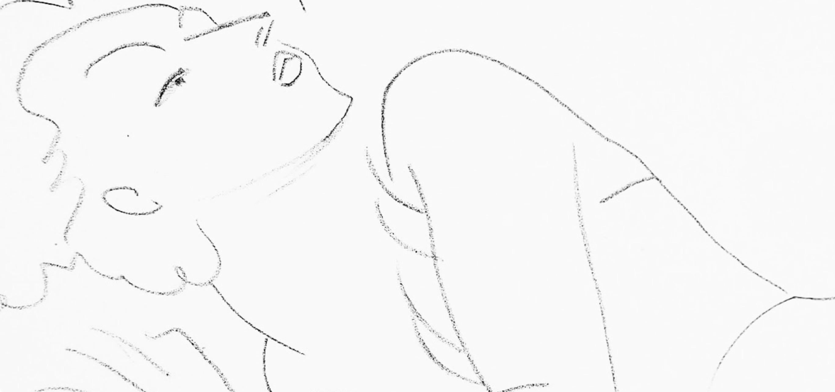 Henri Matisse, Series F, Var. 6, Drawings, Themes and Variations, 1943 (after) For Sale 3