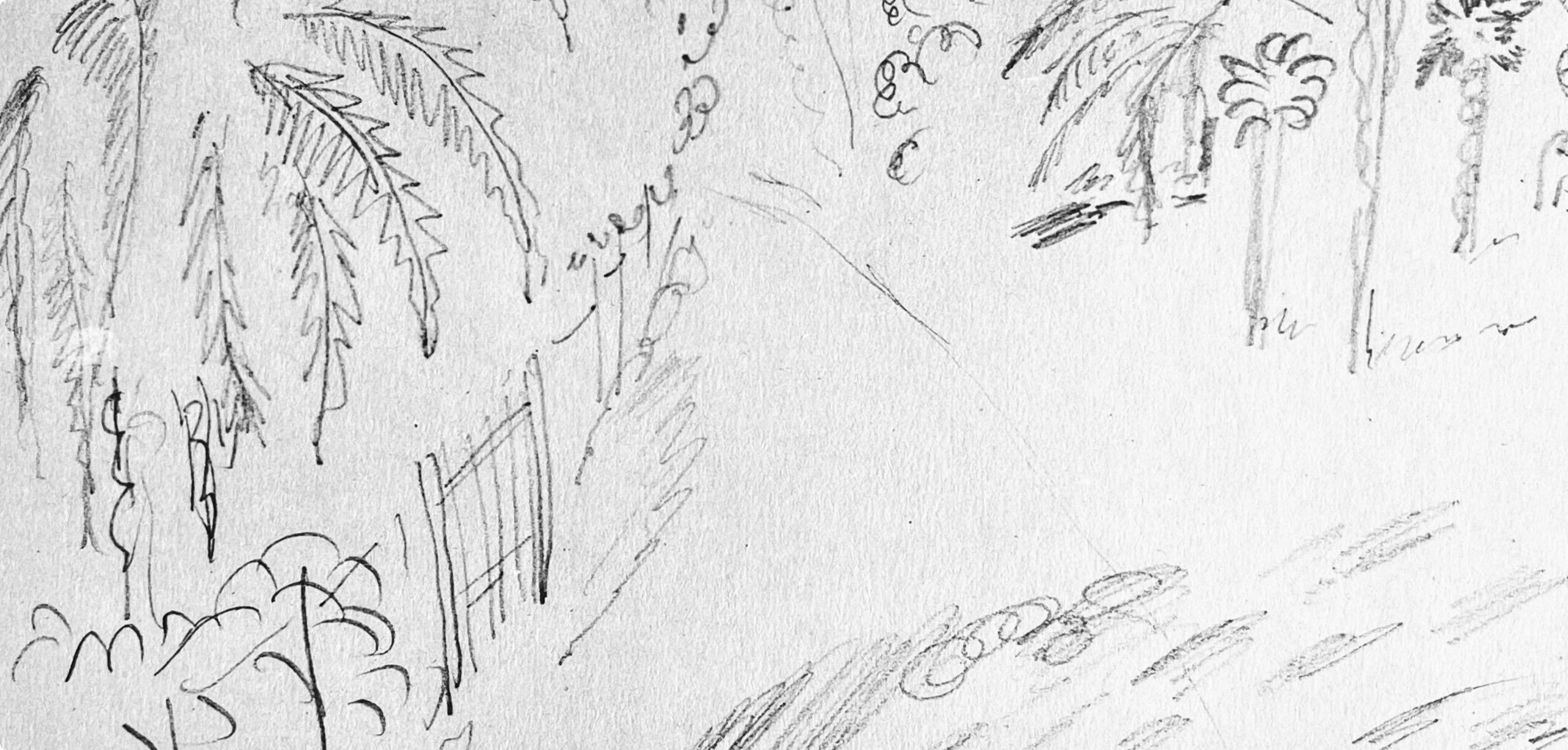 Henri Matisse, Crayon, from Drawings by Henri Matisse, 1925 (after) For Sale 2