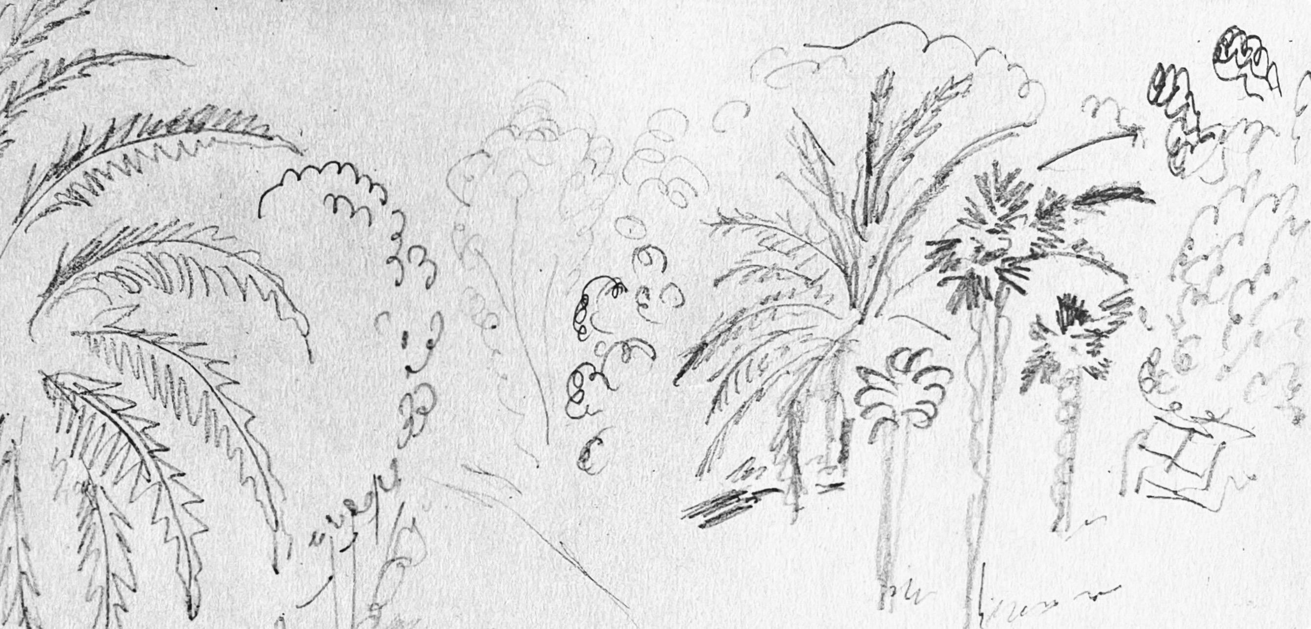 Henri Matisse, Crayon, from Drawings by Henri Matisse, 1925 (after) For Sale 3