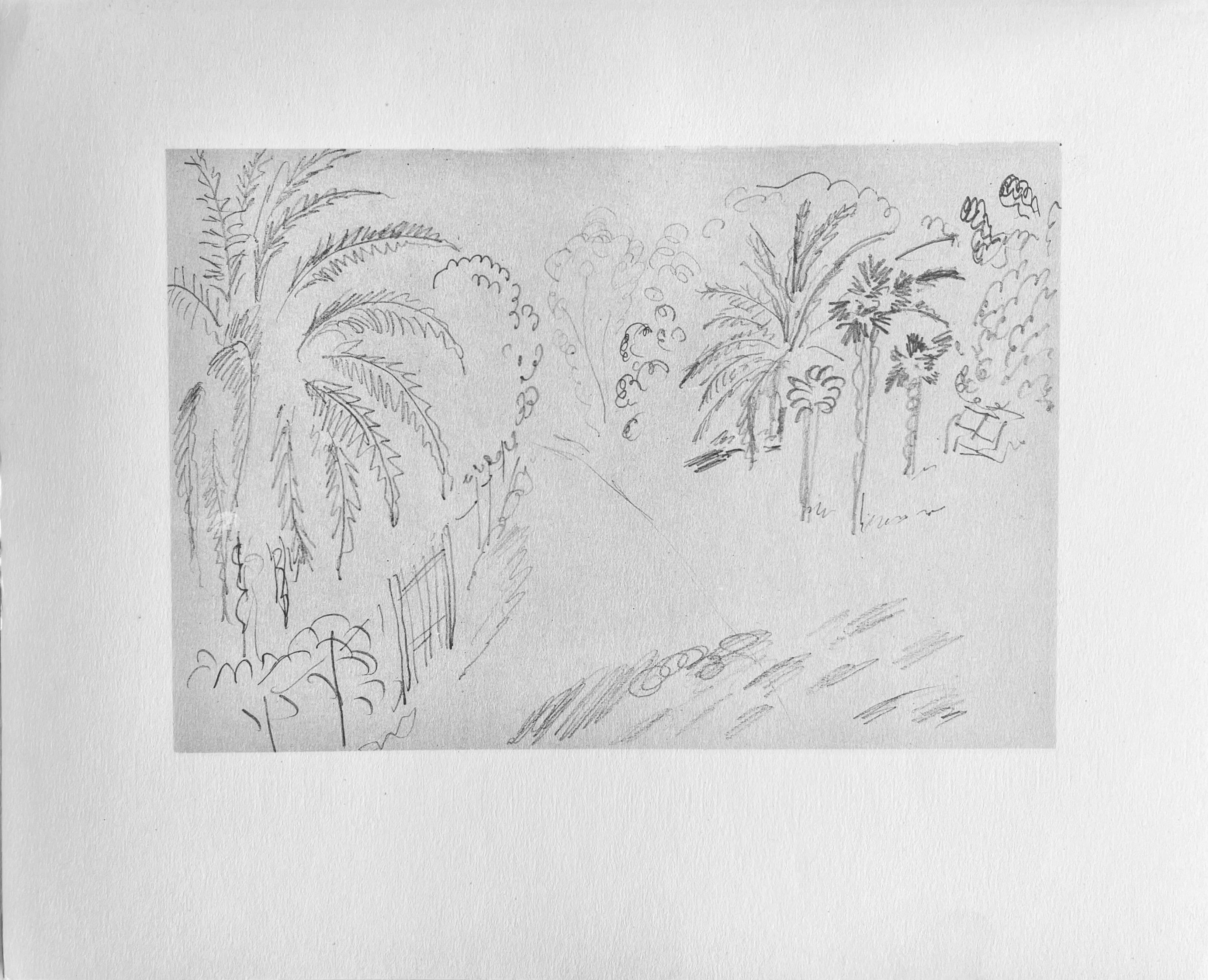 Henri Matisse, Crayon, from Drawings by Henri Matisse, 1925 (after) For Sale 4