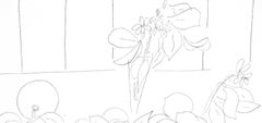 Matisse, Série M, var. 7 (Duthuit 9), Dessins, Thèmes et variations (después de)