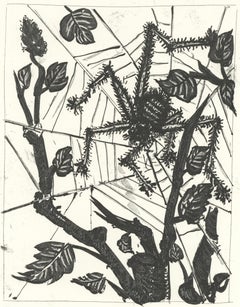 Picasso, L'Araignée, Histoire naturelle (after)