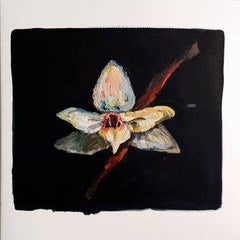Orchidea berlin