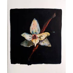 Orchidea berlin Orchidea berlin