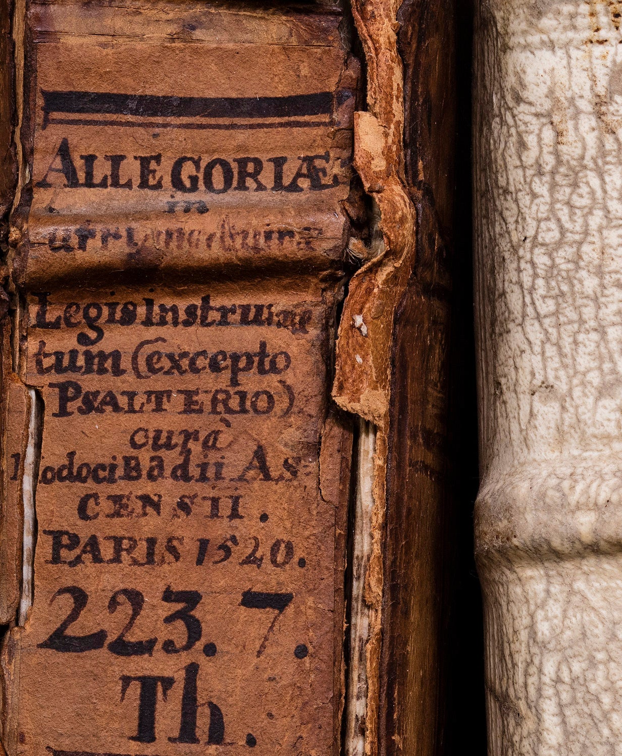 Allegoria, Library Wolfenbüttel - Photograph by Reinhard Görner