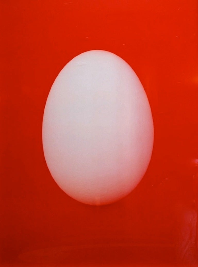 Untitled (Egg) - Print by Neil Winokur