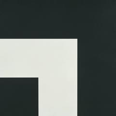 Two Blacks and White 10