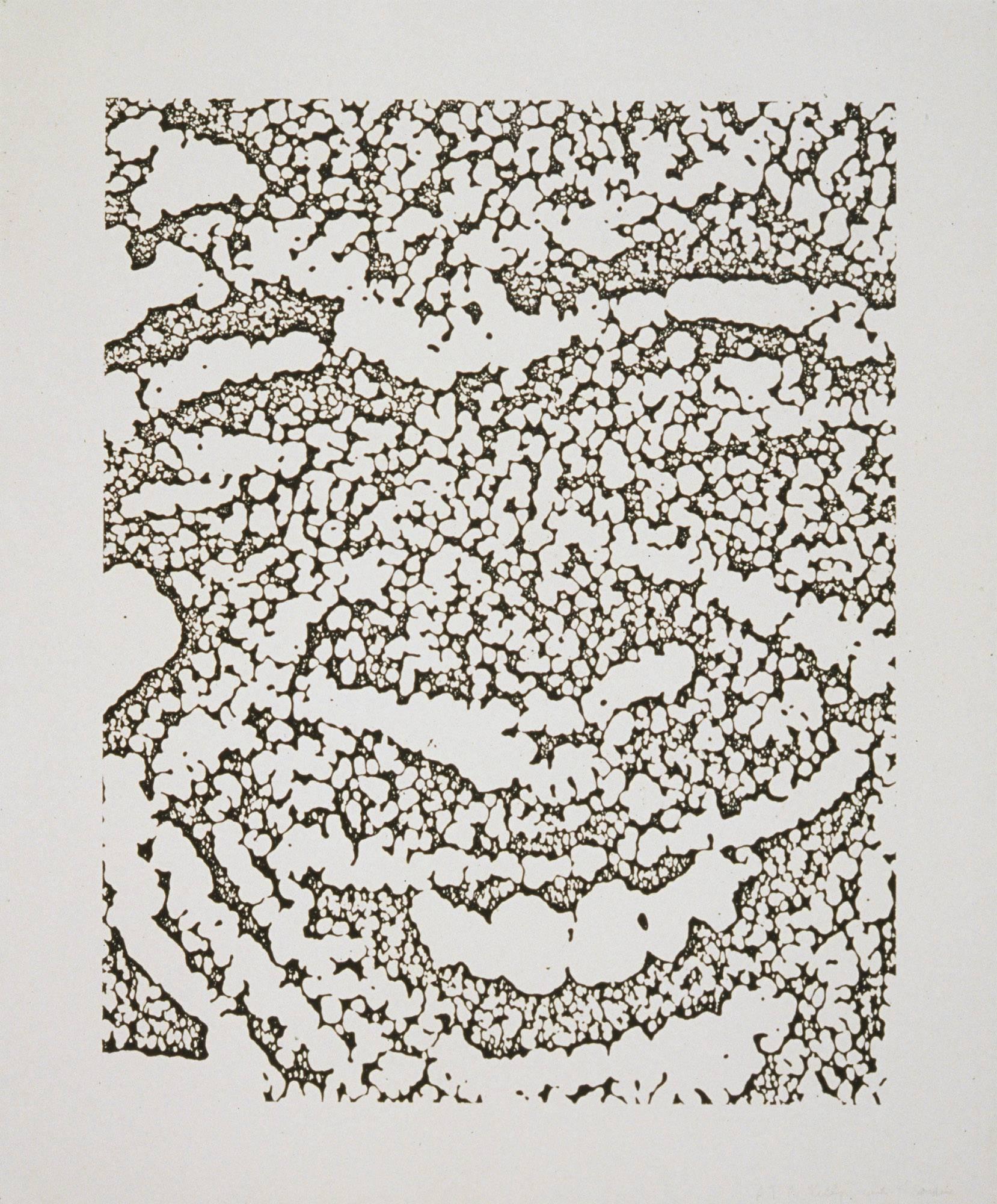Ellsworth Kelly Abstract Print - Jack III