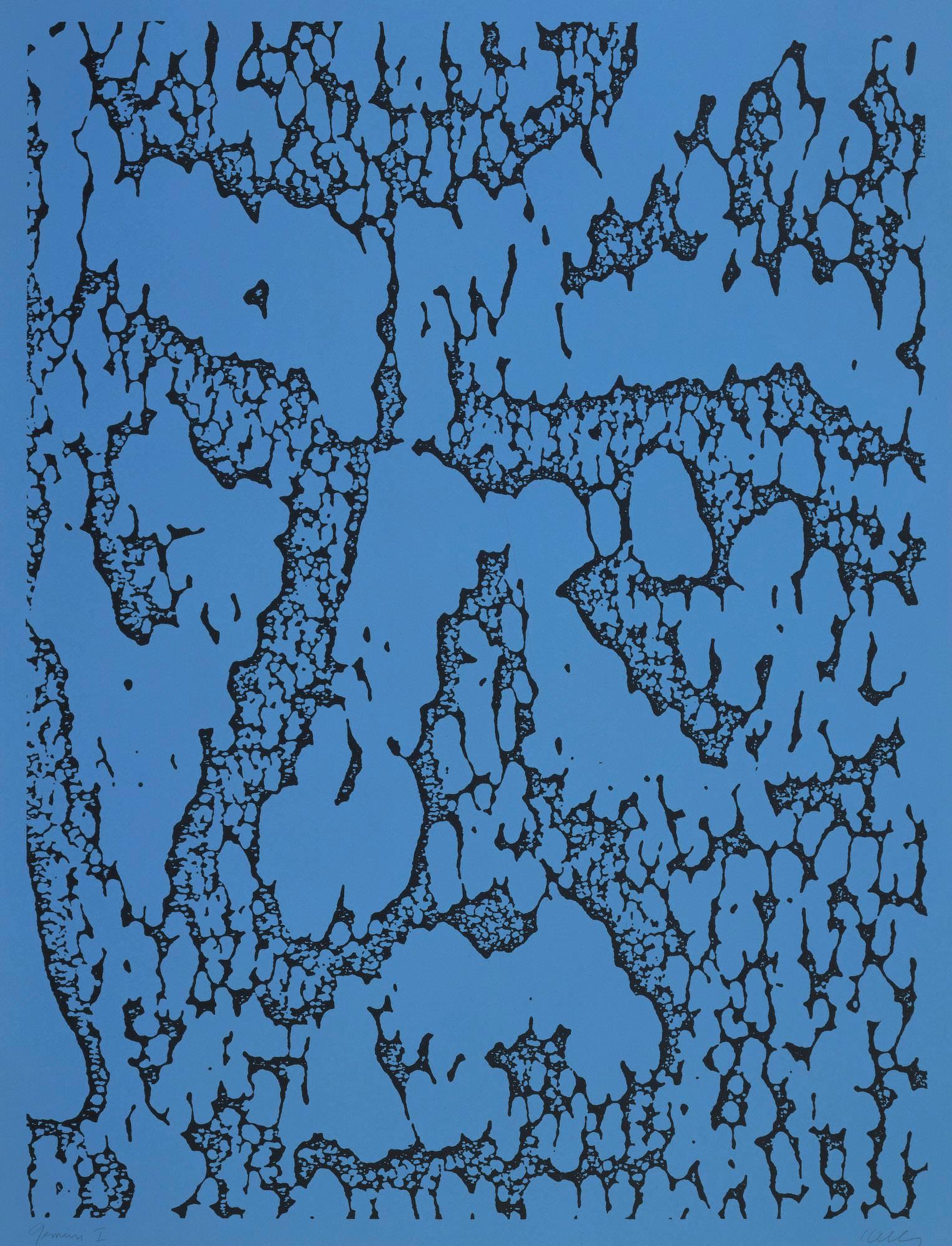 Ellsworth Kelly Abstract Print - Jack/Blue