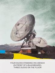 The News: Four Ducks Standing on a Bench...