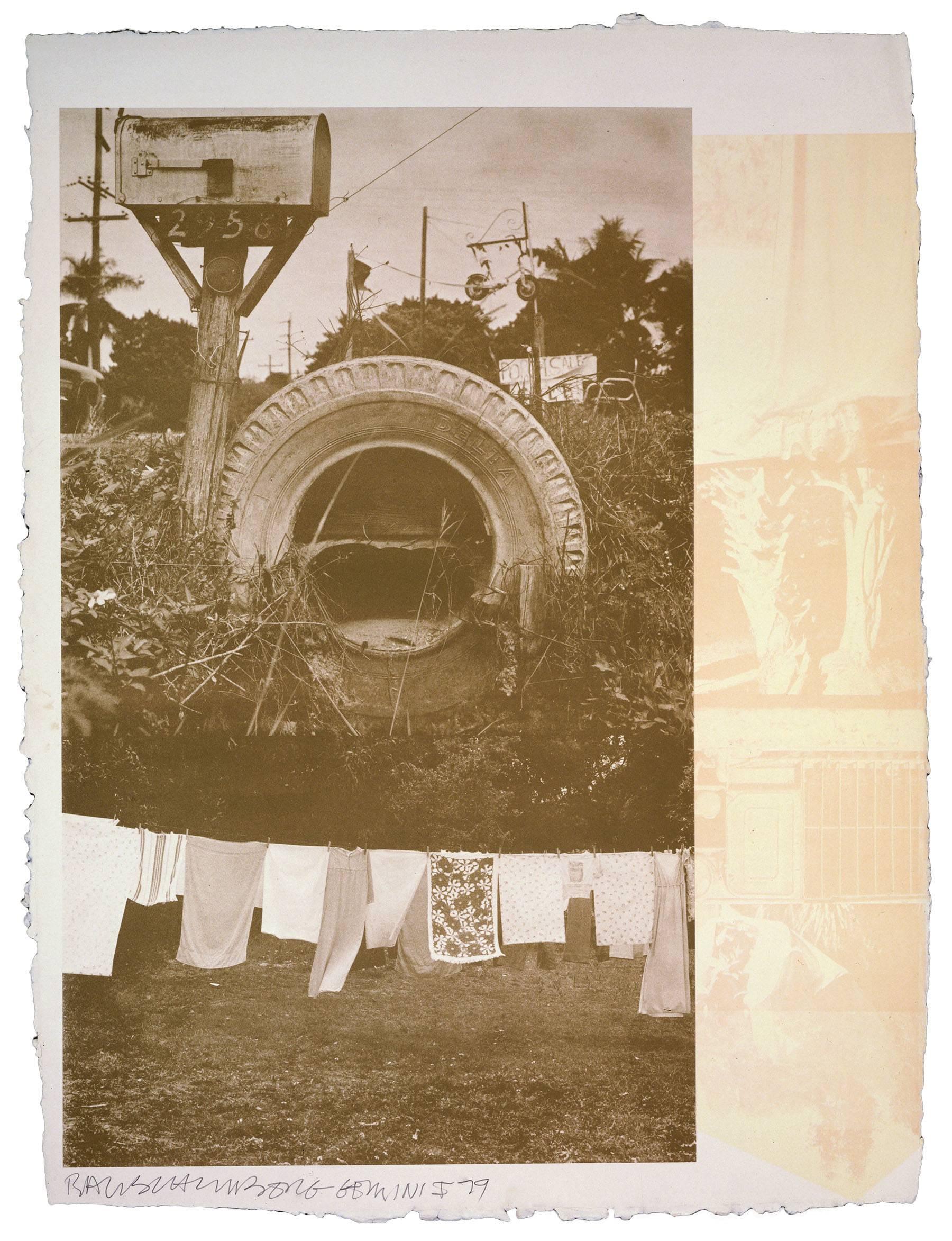 Robert Rauschenberg Print - Rookery Mounds - Mud Dauber