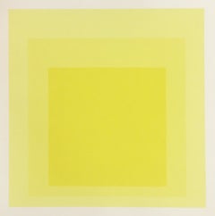 Albers - "Between the Lines" (Omaggio al quadrato) 1968 Serigrafia a colori
