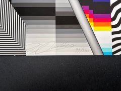 Pantone - "Optichromie 116" (2023) Firmata, giclée su carta Phot Rag bianco brillante