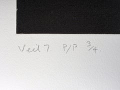 „Veil 7“ (2008) aus der Serie „Veil“, signierter Druckerprobdruck, Fotogravur